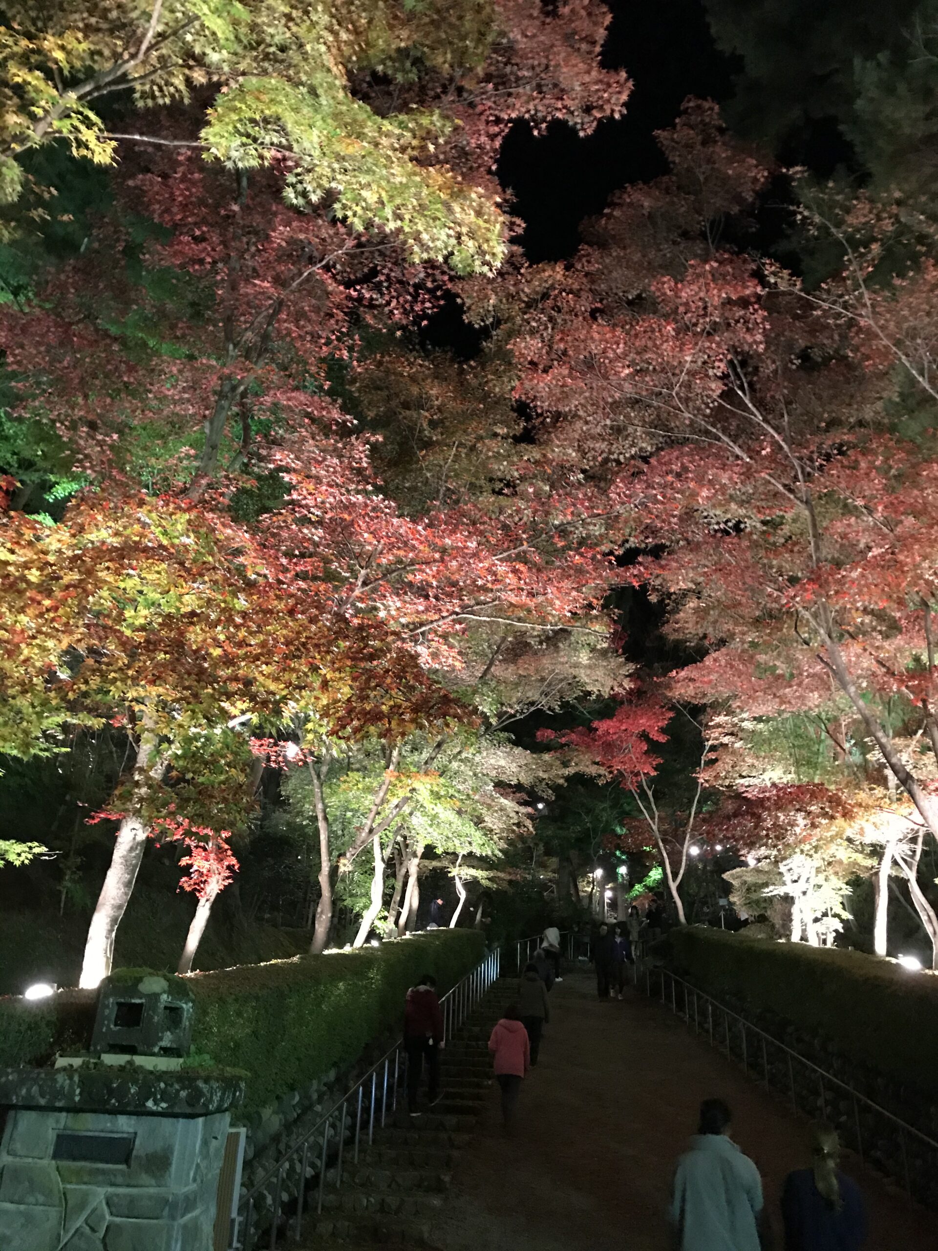 柏崎 松雲山荘庭園紅葉写真